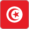 Tunesie flag